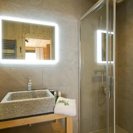 Chalet Odalys L'ours Brun *